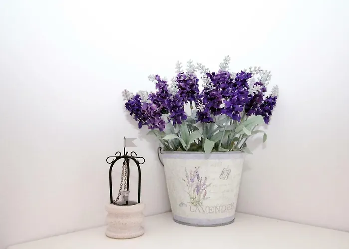 Διαμέρισμα Doleco